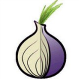 tor browser洋葱浏览器