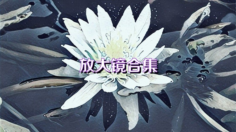 放大鏡合集