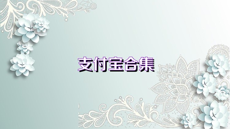 支付寶合集