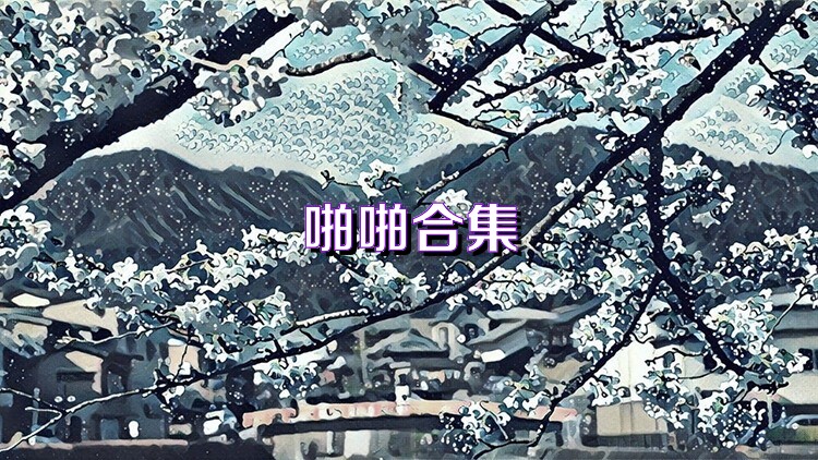啪啪合集