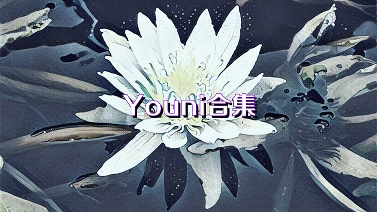 Youni合集