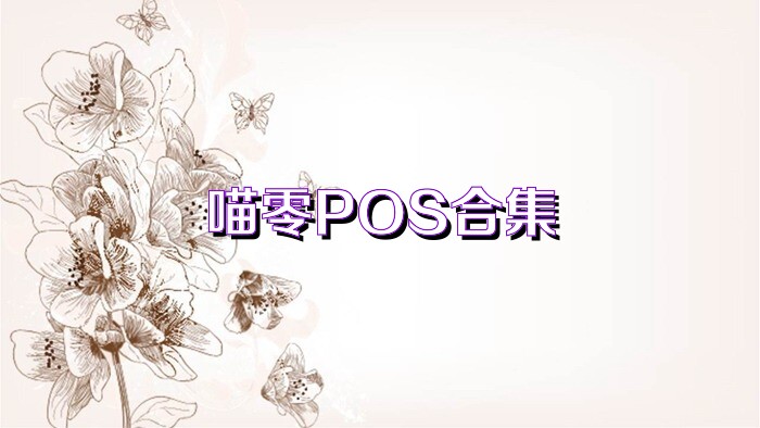 喵零POS合集