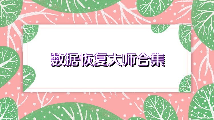 數(shù)據(jù)恢復大師合集