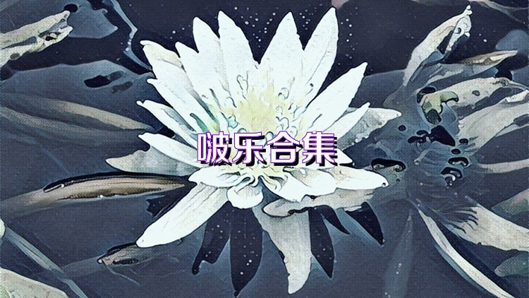 啵樂合集
