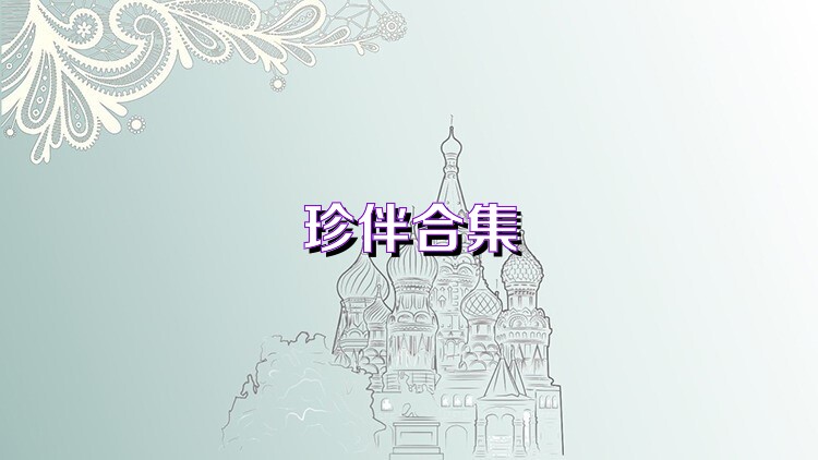 珍伴合集