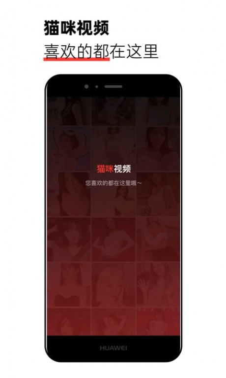 喵咪視頻1