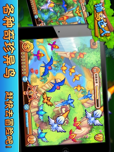 捕鳥達(dá)人1