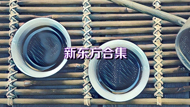 新東方合集