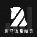 斑馬流量精靈