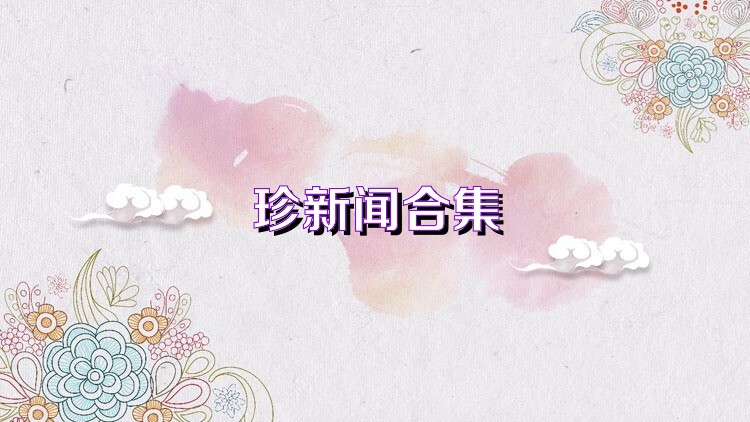 珍新闻合集