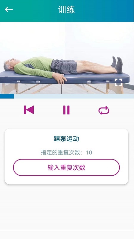 捷行伴侶4