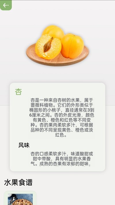 指尖果園3