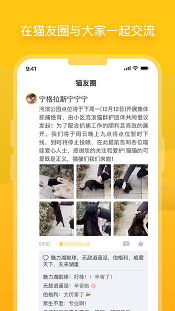 哈啰街貓最新版v1.0.12