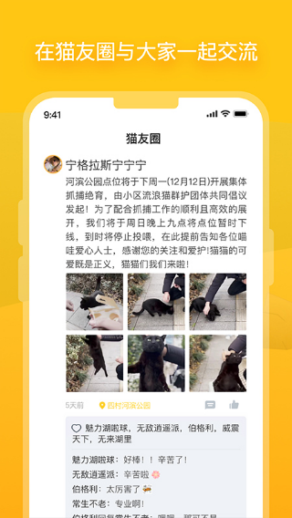 哈啰街貓手機(jī)版2