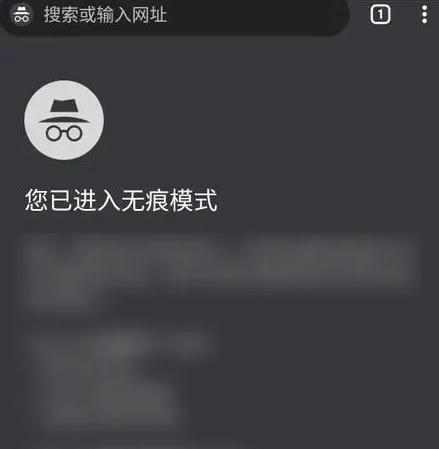 谷歌浏览器纯净版