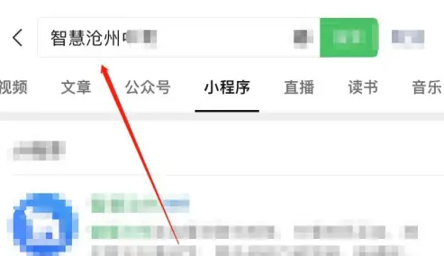 智慧沧州怎么查中考成绩