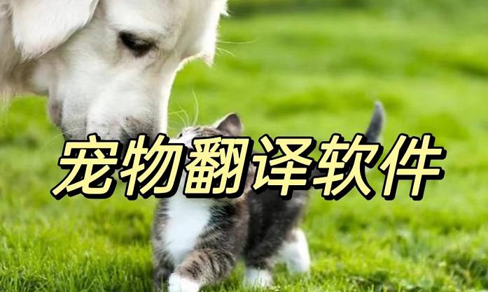 寵物翻譯軟件
