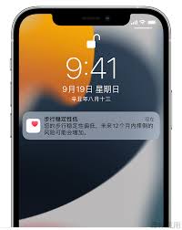 iPhone手机如何开启步行稳定性通知