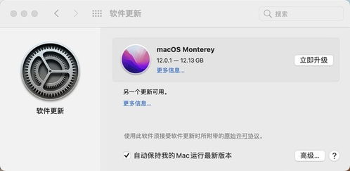 如何在iPhone和Mac上启用Safari的隐私保护广告追踪