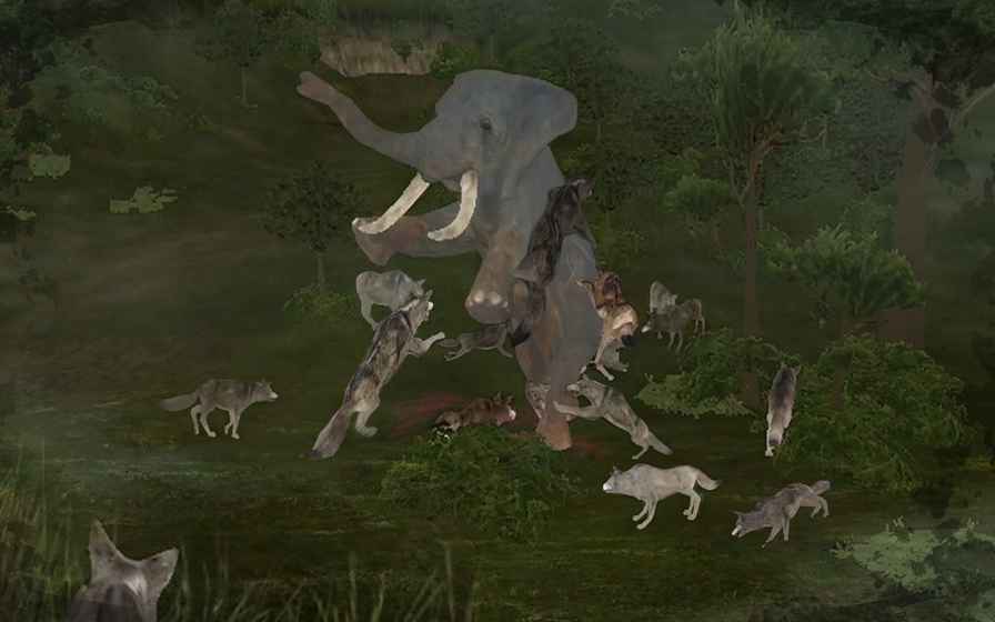 動物世界安卓版3