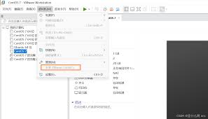 vmware无法点击任何内容的原因是什么