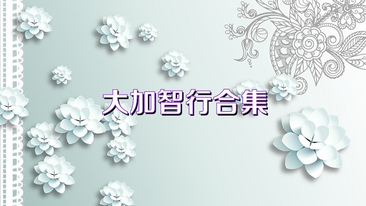 大加智行合集
