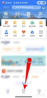 冀时办如何查询生育补贴