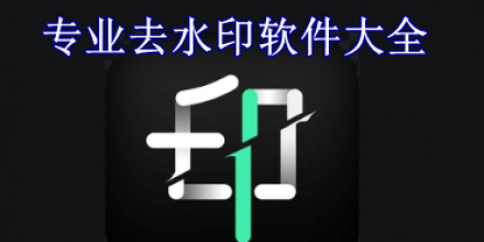 專業(yè)去水印軟件