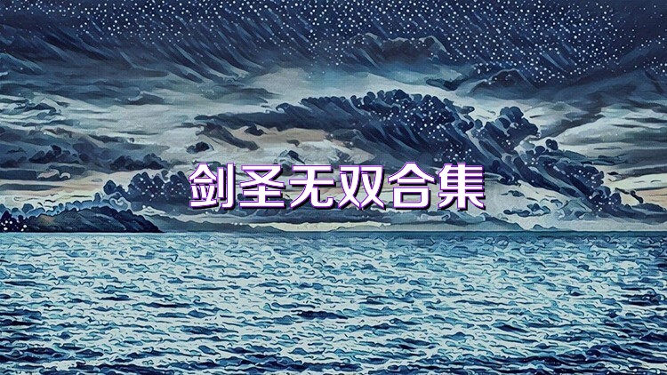 剑圣无双合集