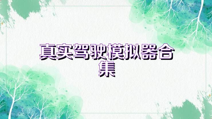 真实驾驶模拟器合集