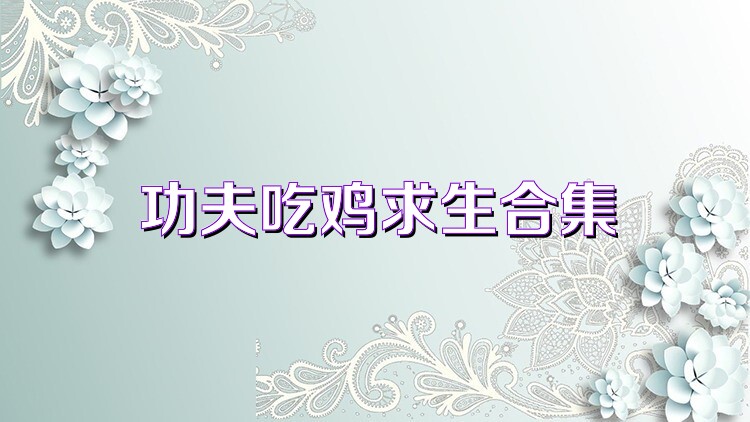 功夫吃鸡求生合集
