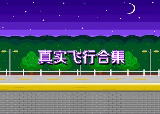 真实飞行合集