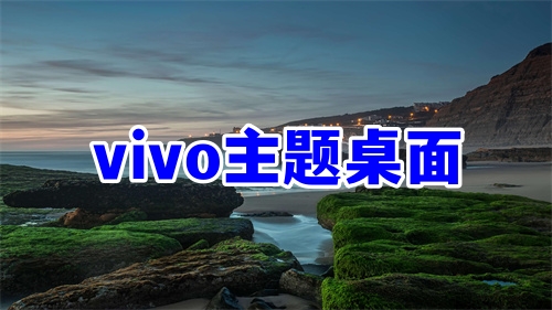 vivo主題桌面軟件