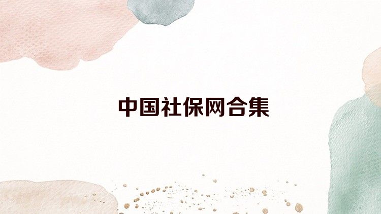 中国社保网合集