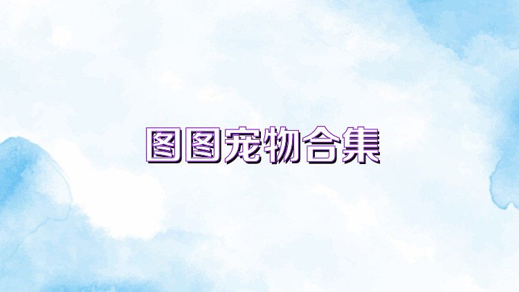图图宠物合集