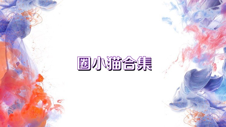 圈小猫合集