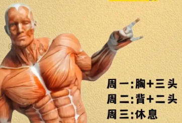 健身計(jì)劃手機(jī)app