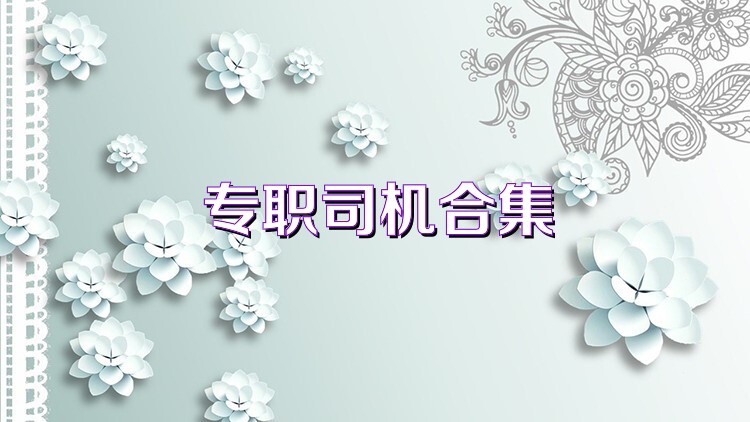 专职司机合集