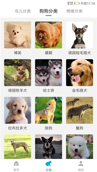萬能動物翻譯器1