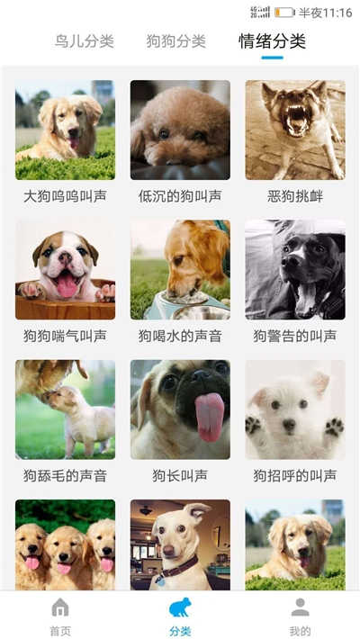 萬能動物翻譯器2