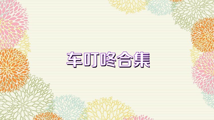 车叮咚合集