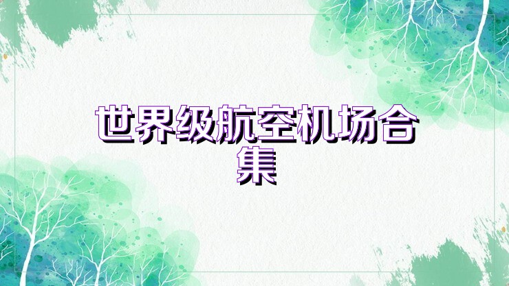 世界級(jí)航空機(jī)場(chǎng)合集