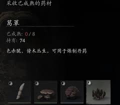 黑神话悟空种子获取方法