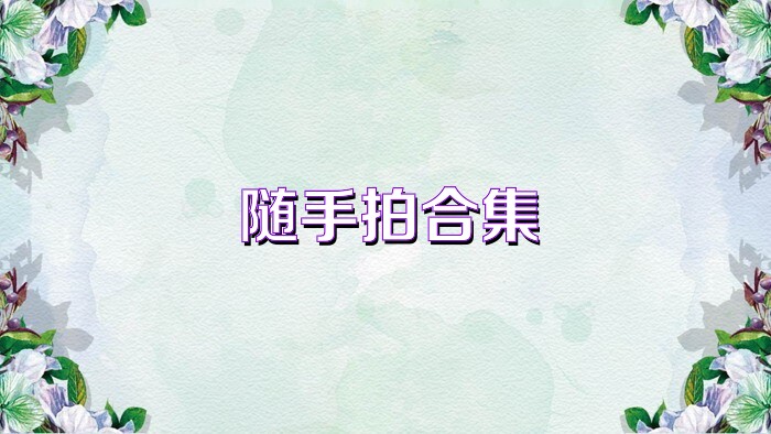 随手拍合集
