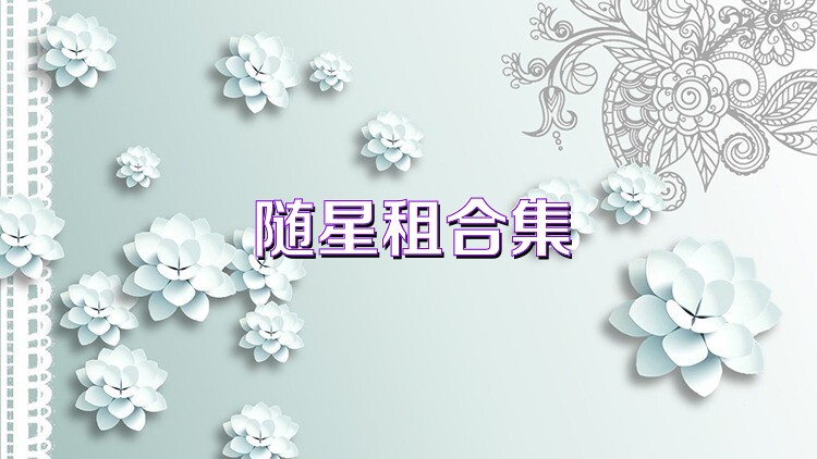 随星租合集