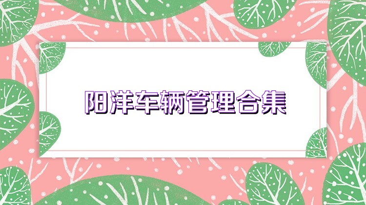 阳洋车辆管理合集