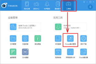 iPhone弹出窗口已显示的旁白触感如何开启