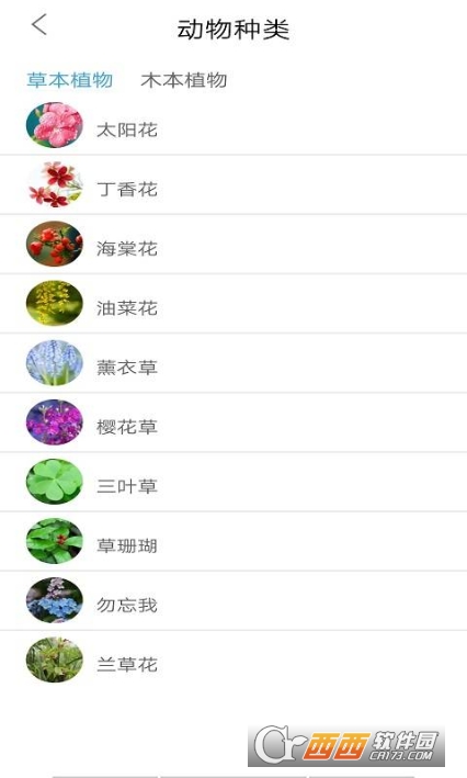 品植-植物識(shí)別軟件1