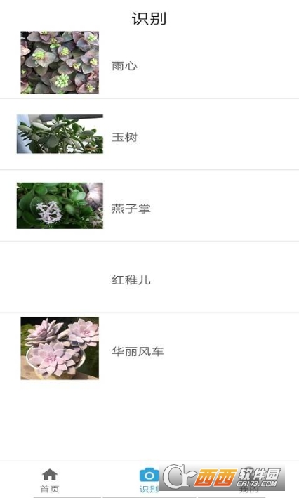 品植-植物識(shí)別軟件2
