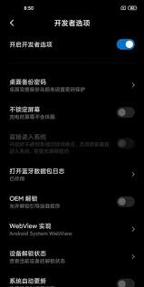 小米10s如何开启开发者选项